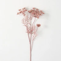 Blush Spiky Queen Anne's Lace 29.5"