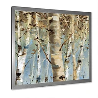 White Birch Forest II  Canvas Wall Art