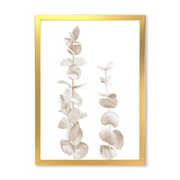 Beige Eucalyptus Branches on White  Wall Art