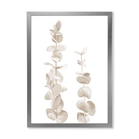 Beige Eucalyptus Branches on White  Wall Art