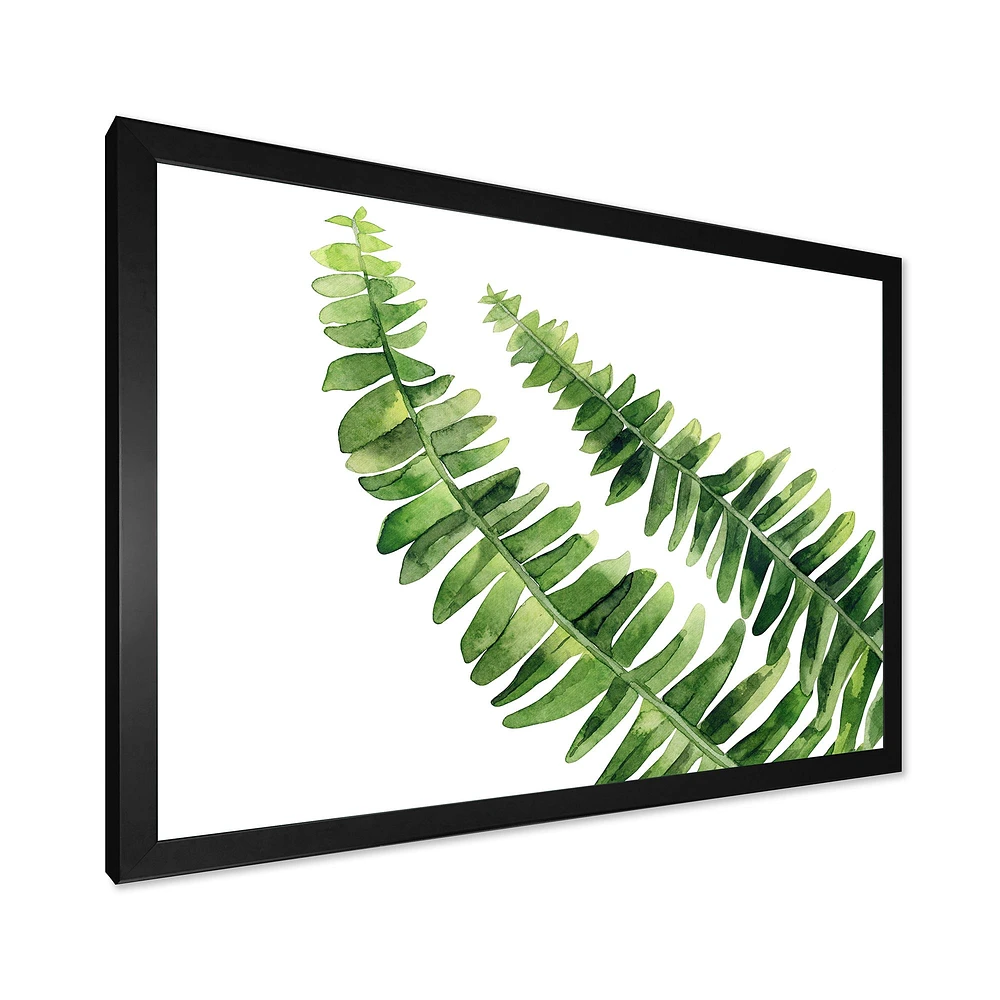 Fern Leaves Detail I  Wall Art