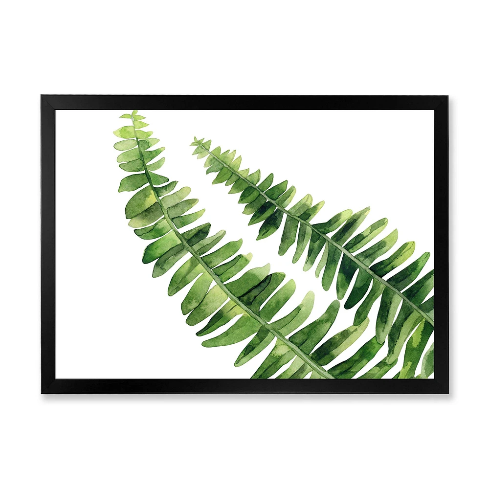 Toile « Fern Leaves Detail I