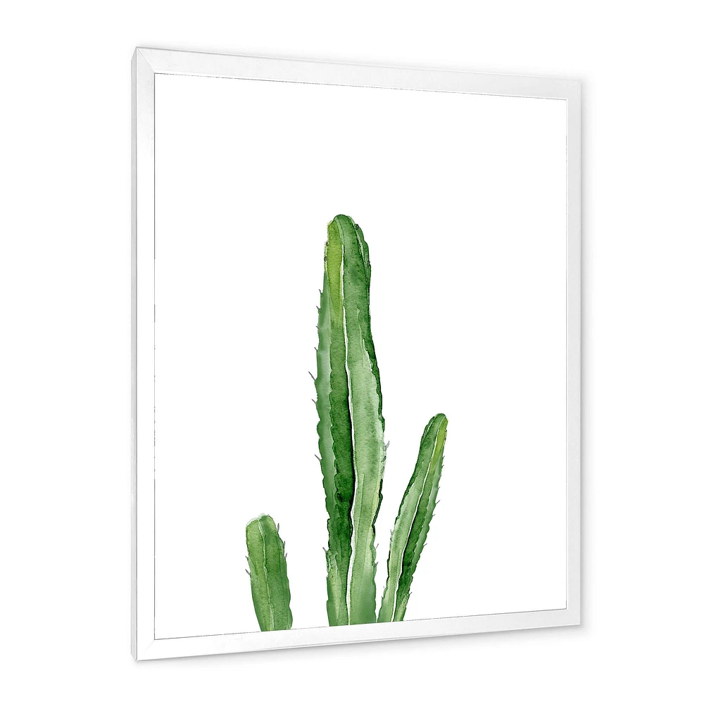 Toile « Green Cactus South Western Plant Botanical Detail »