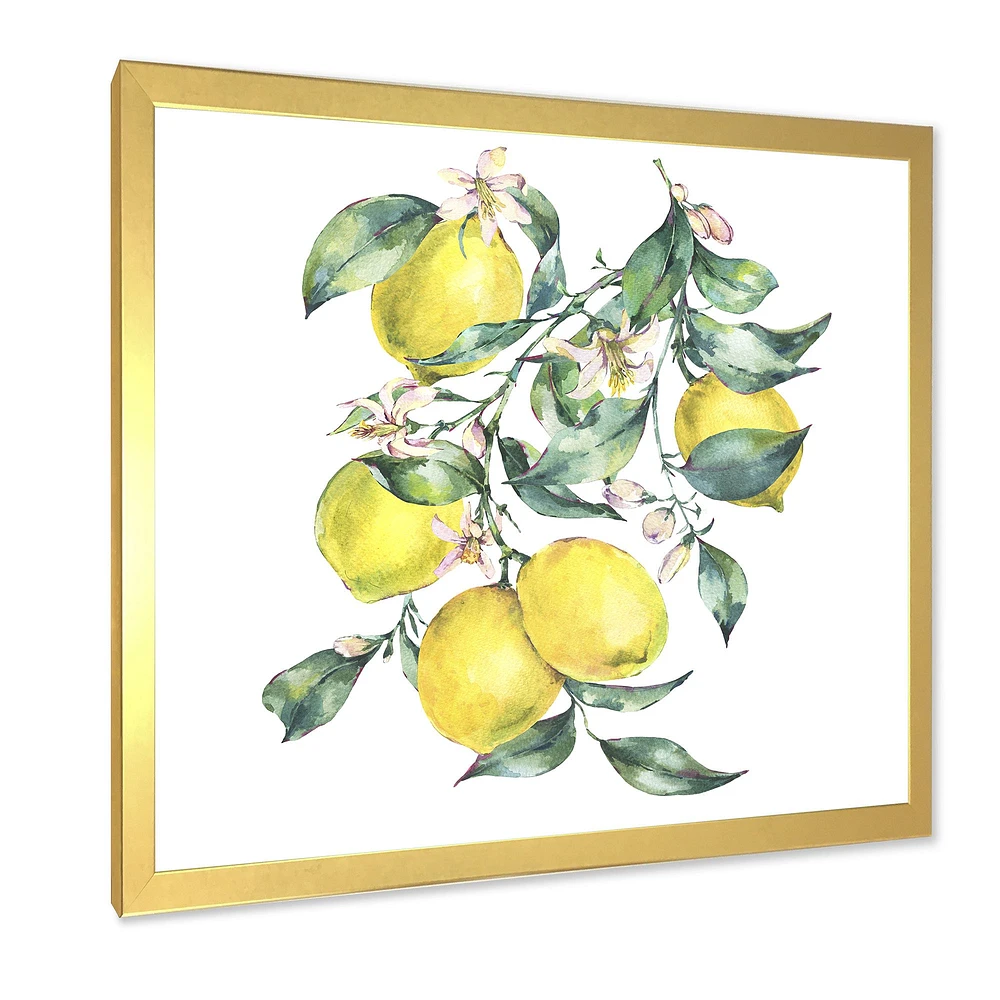 Branch of Yellow Lemons and Leaves I  Wall Art