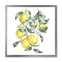 Branch of Yellow Lemons and Leaves I  Wall Art