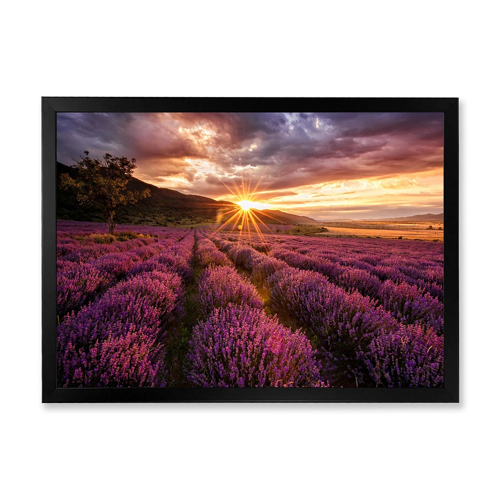 Sunrise & Dramatic Clouds Over Lavender Field IV  Wall Art