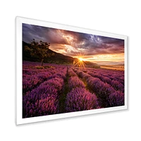 Sunrise & Dramatic Clouds Over Lavender Field IV  Wall Art