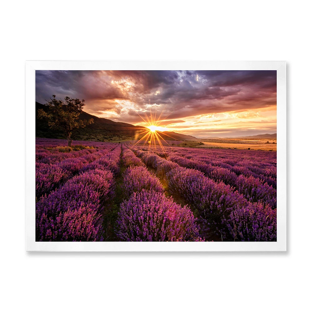 Toile « Sunrise & Dramatic Clouds Over Lavender Field IV