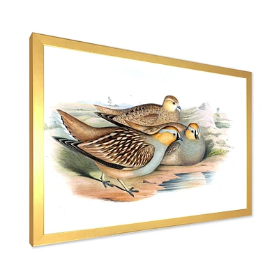 Vintage Birds The Wild III  Wall Art