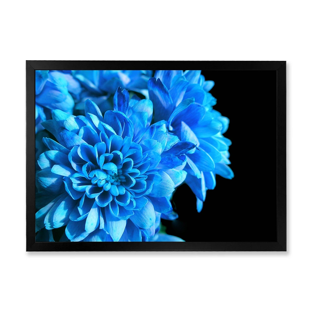 Detail of Blue Flowers on Black I  Wall Art