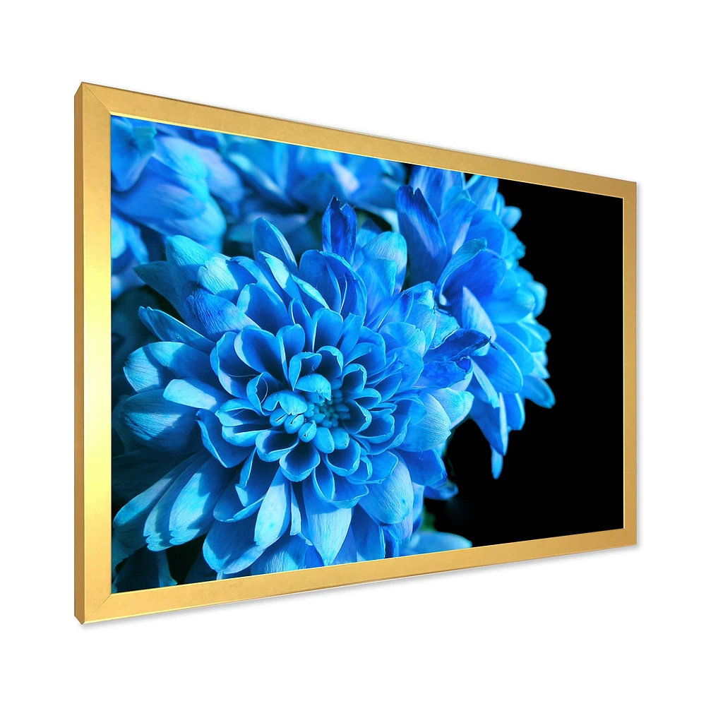 Detail of Blue Flowers on Black I  Wall Art