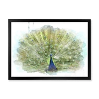 Peacock Bird  Wall Art