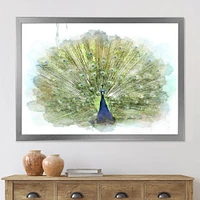 Peacock Bird  Wall Art