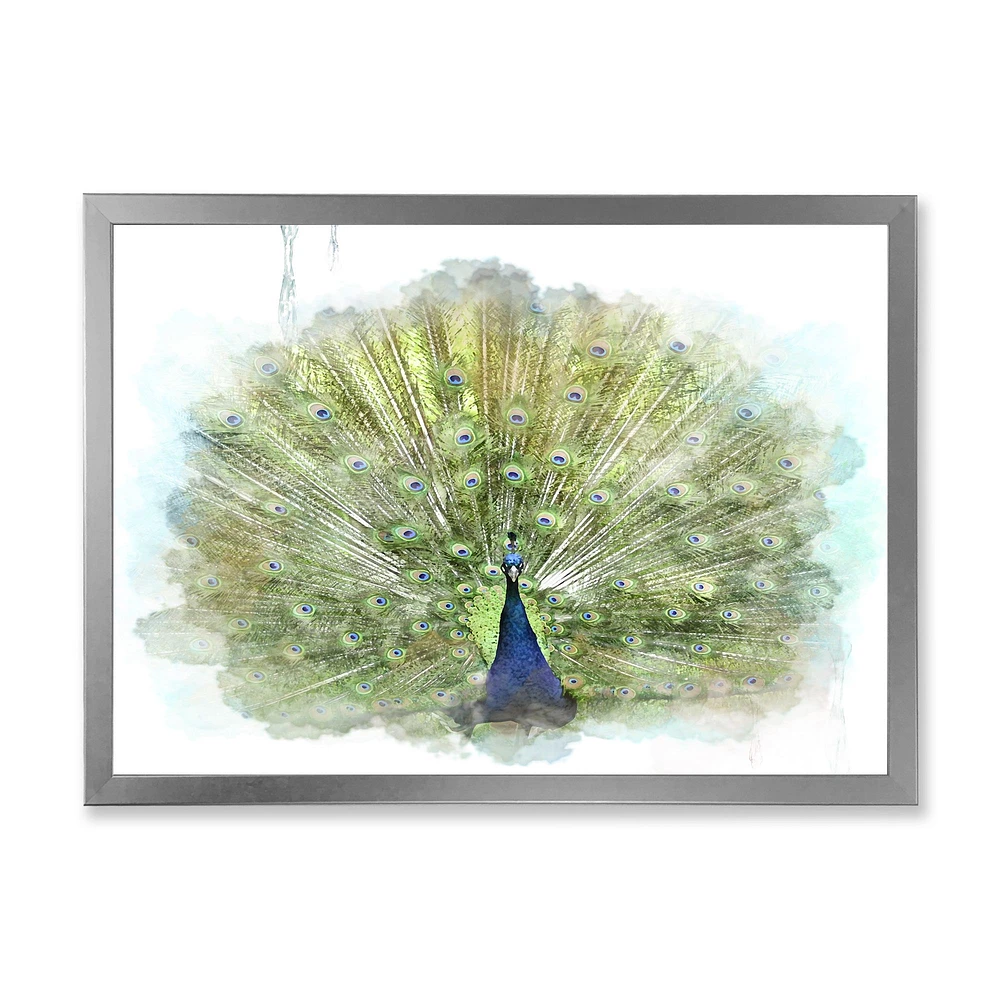 Peacock Bird  Wall Art