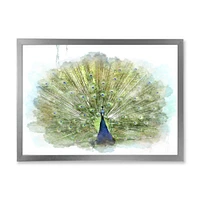 Peacock Bird  Wall Art