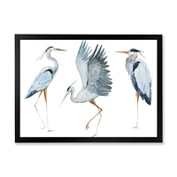 Toile « Heron Birds II