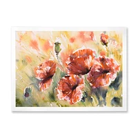 Red Poppy on A Field  Wall Art