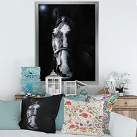 Toile « Horse Staring Sinister »