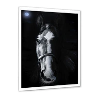 Toile « Horse Staring Sinister »