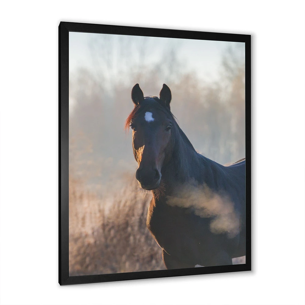 Portrait of A Horse on An Autumn Morning  Wall Art