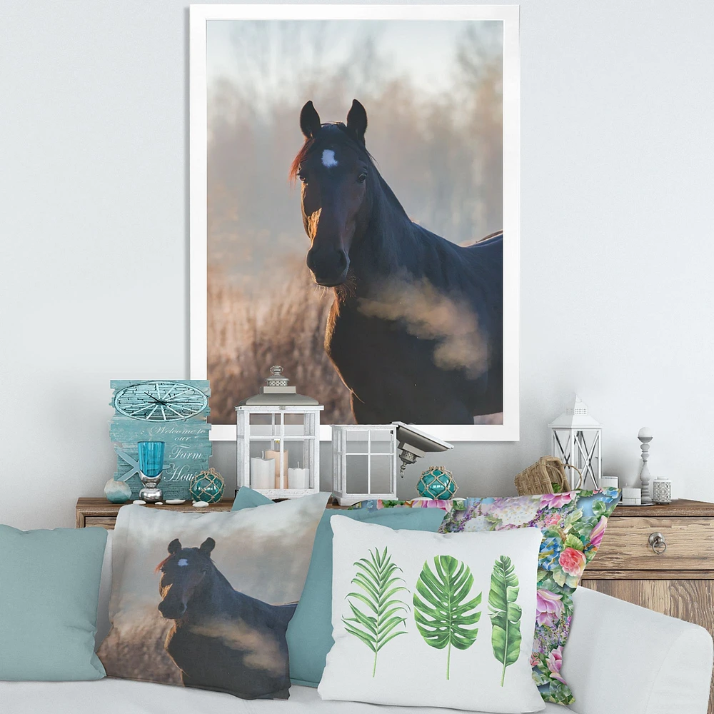 Portrait of A Horse on An Autumn Morning  Wall Art