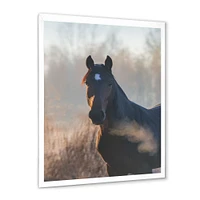 Portrait of A Horse on An Autumn Morning  Wall Art