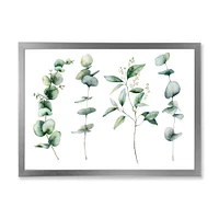 Green Eucalyptus Branches I  Canvas Wall Art Print