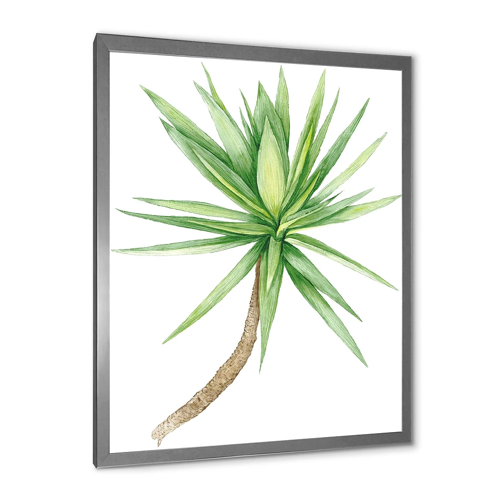 Detail of Yucca Tree  Canvas Wall Art Print