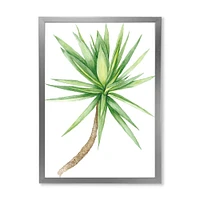 Detail of Yucca Tree  Canvas Wall Art Print