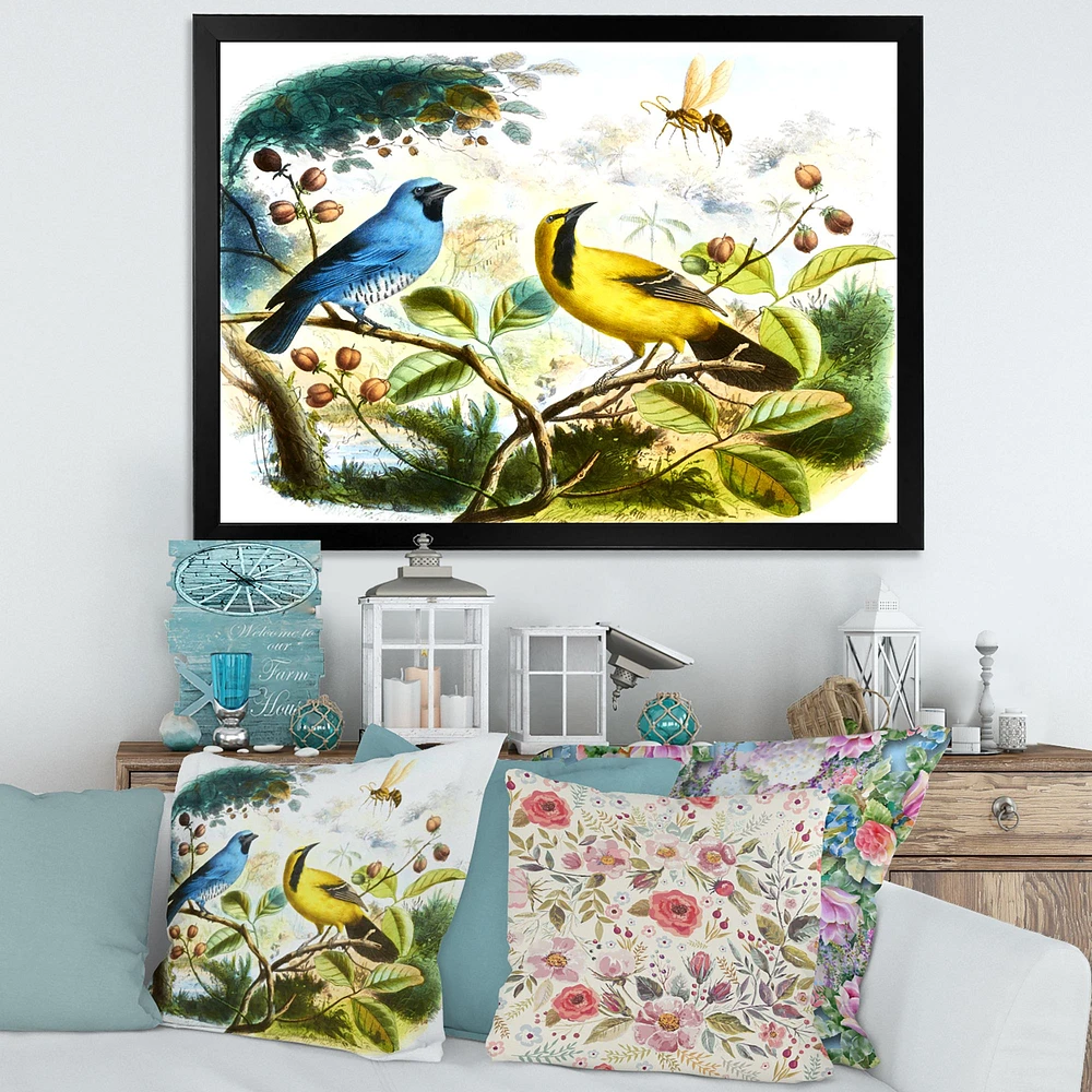 Blue and Yellow Bird The Wild  Canvas Wall Art Print