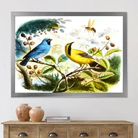 Blue and Yellow Bird The Wild  Canvas Wall Art Print