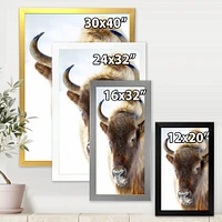 Portrait of Wild Bison Wall Art