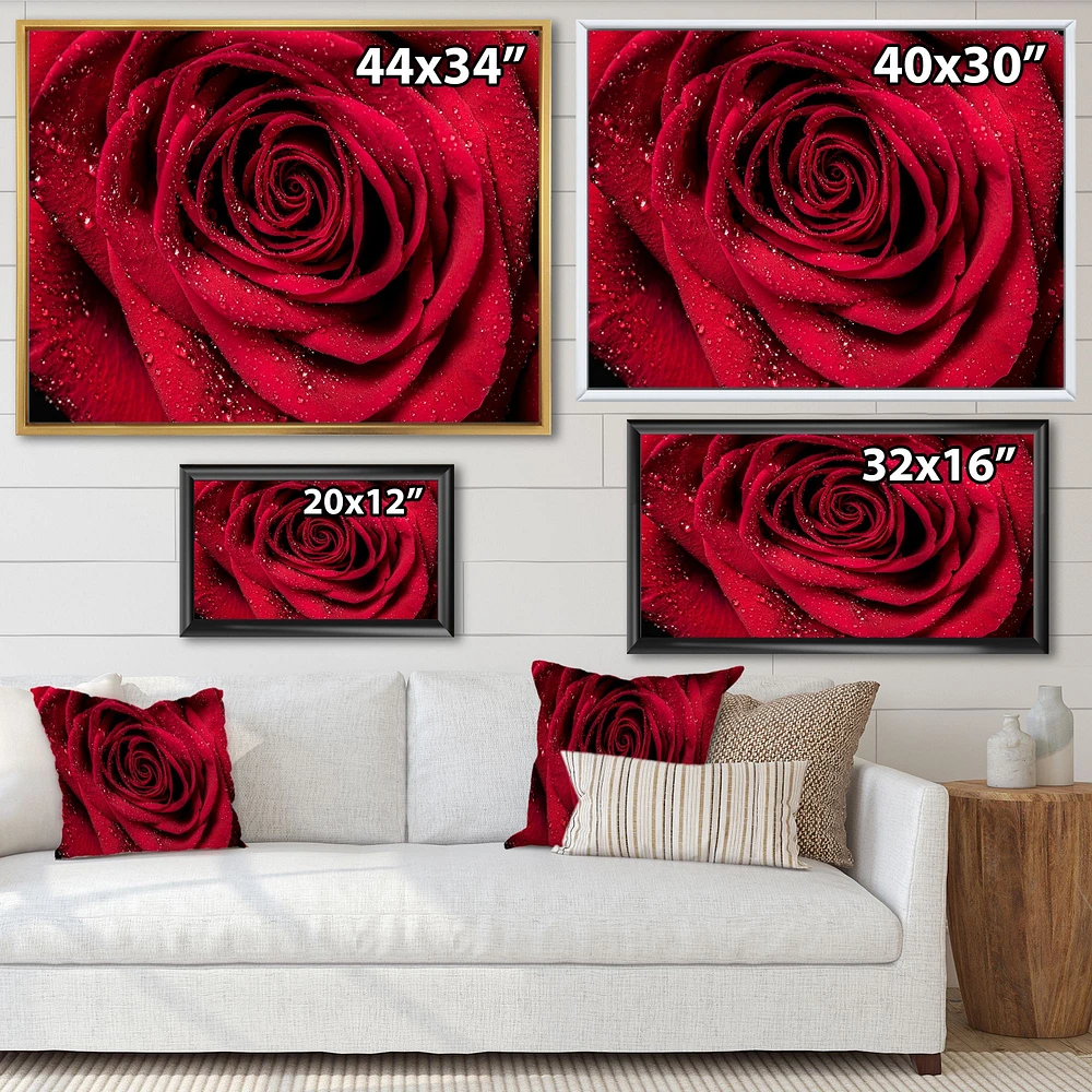 Red Rose Petals with Rain Droplets  Canvas Art Print