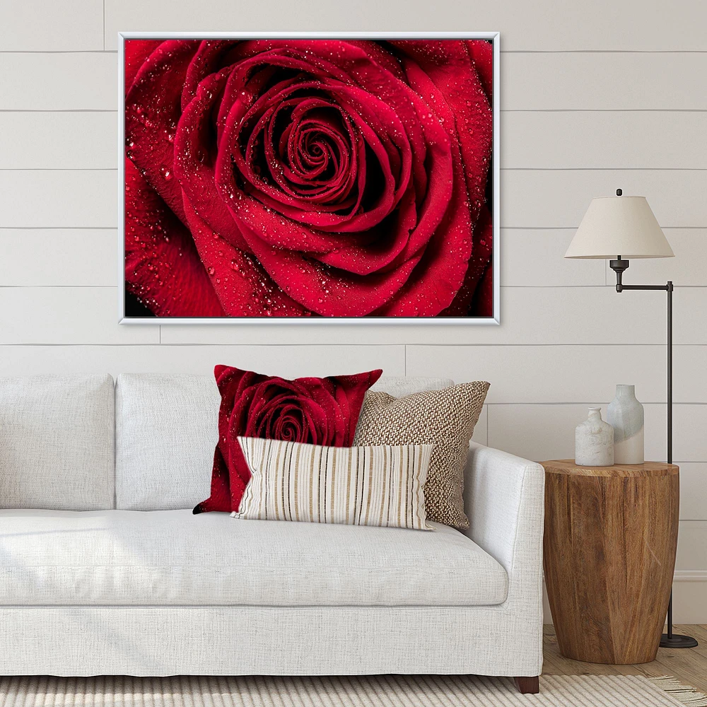 Red Rose Petals with Rain Droplets  Canvas Art Print