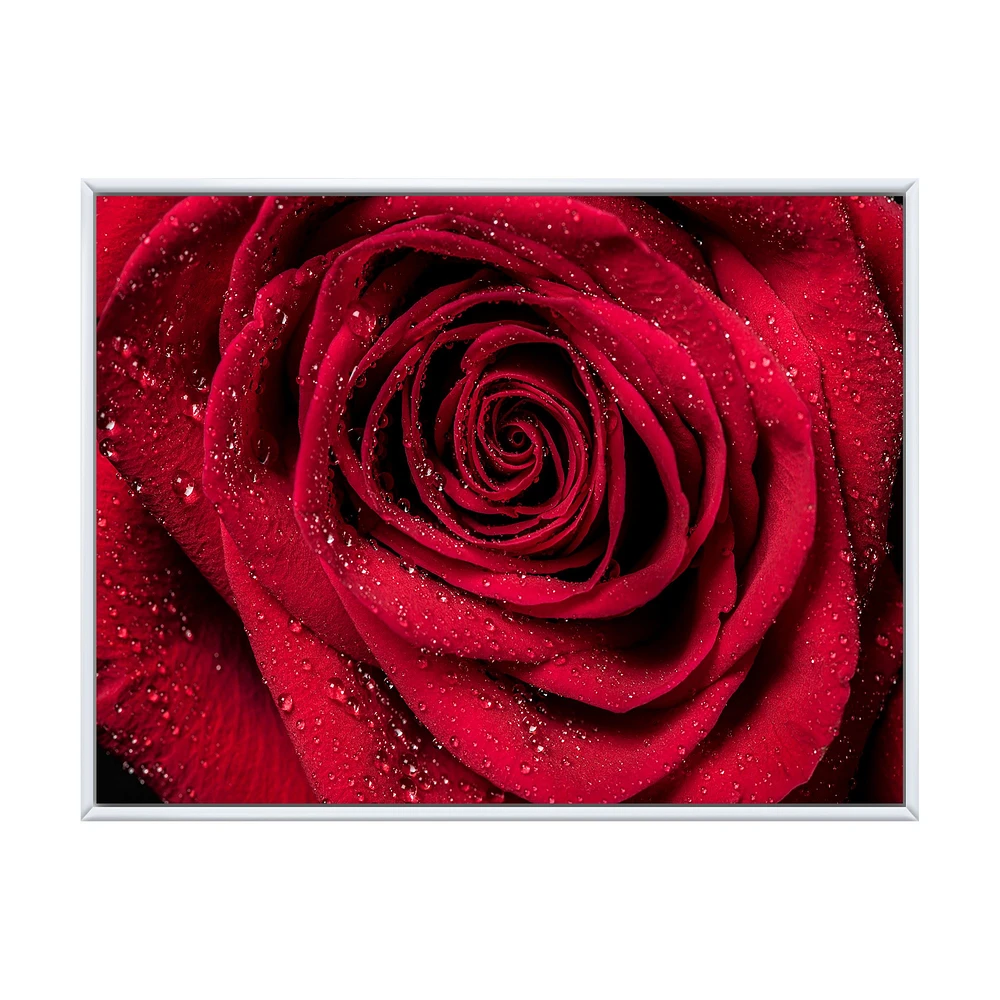 Red Rose Petals with Rain Droplets  Canvas Art Print