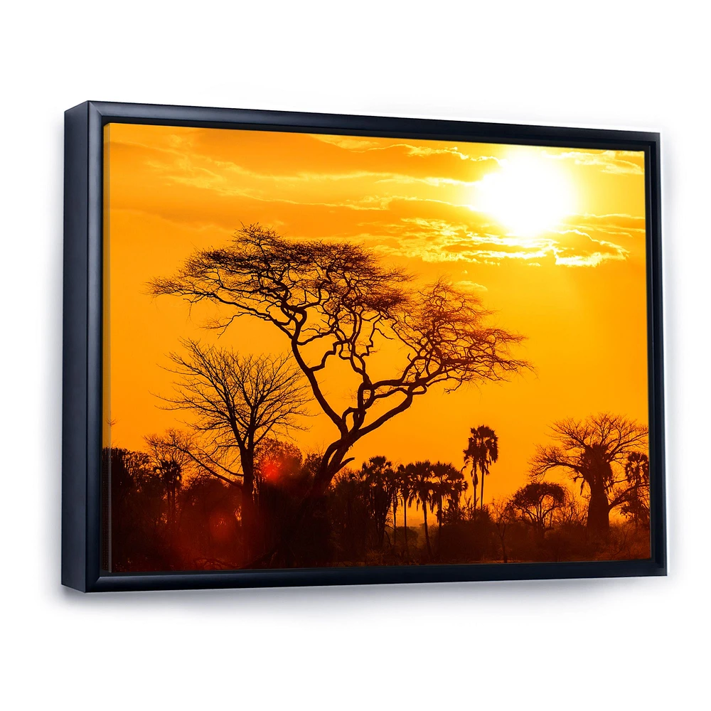 Orange Glow of African Sunset  Wall Art