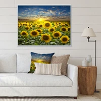 Field of Blooming SunFlowers  Canvas Wall Art