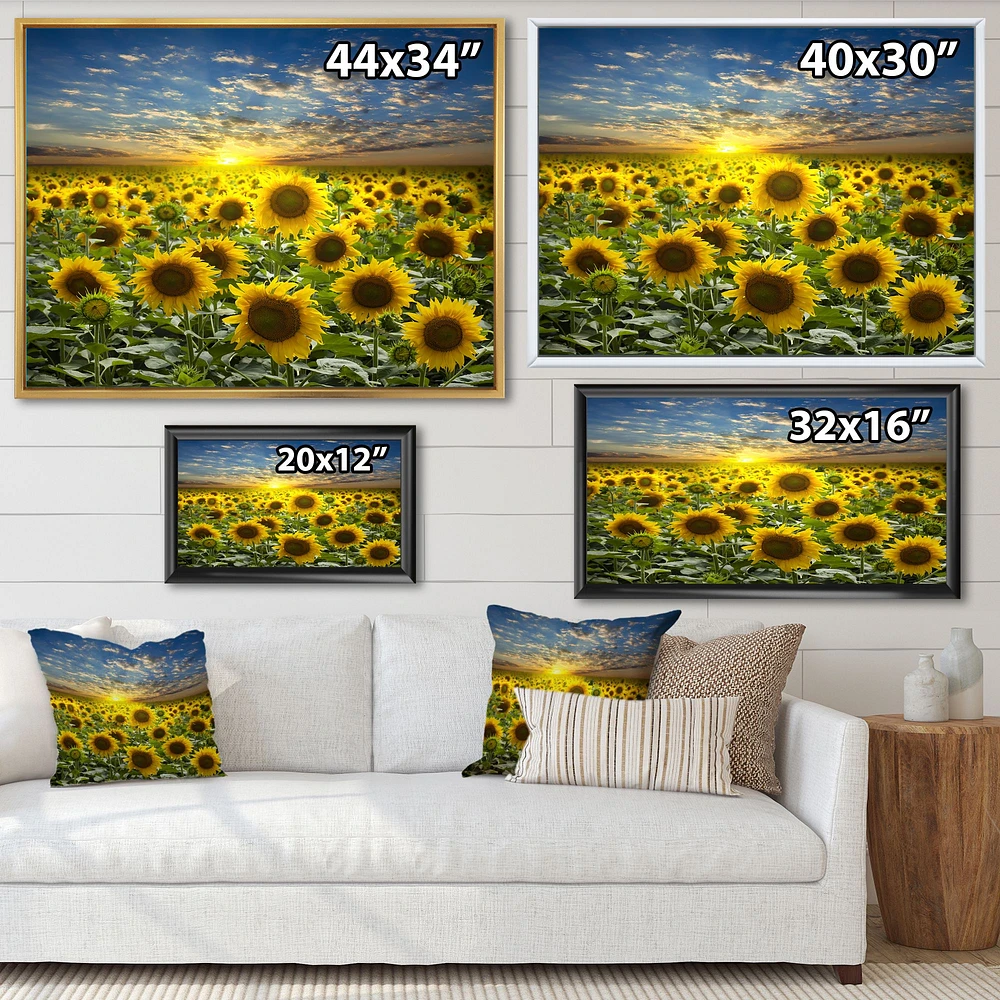 Field of Blooming SunFlowers  Canvas Wall Art