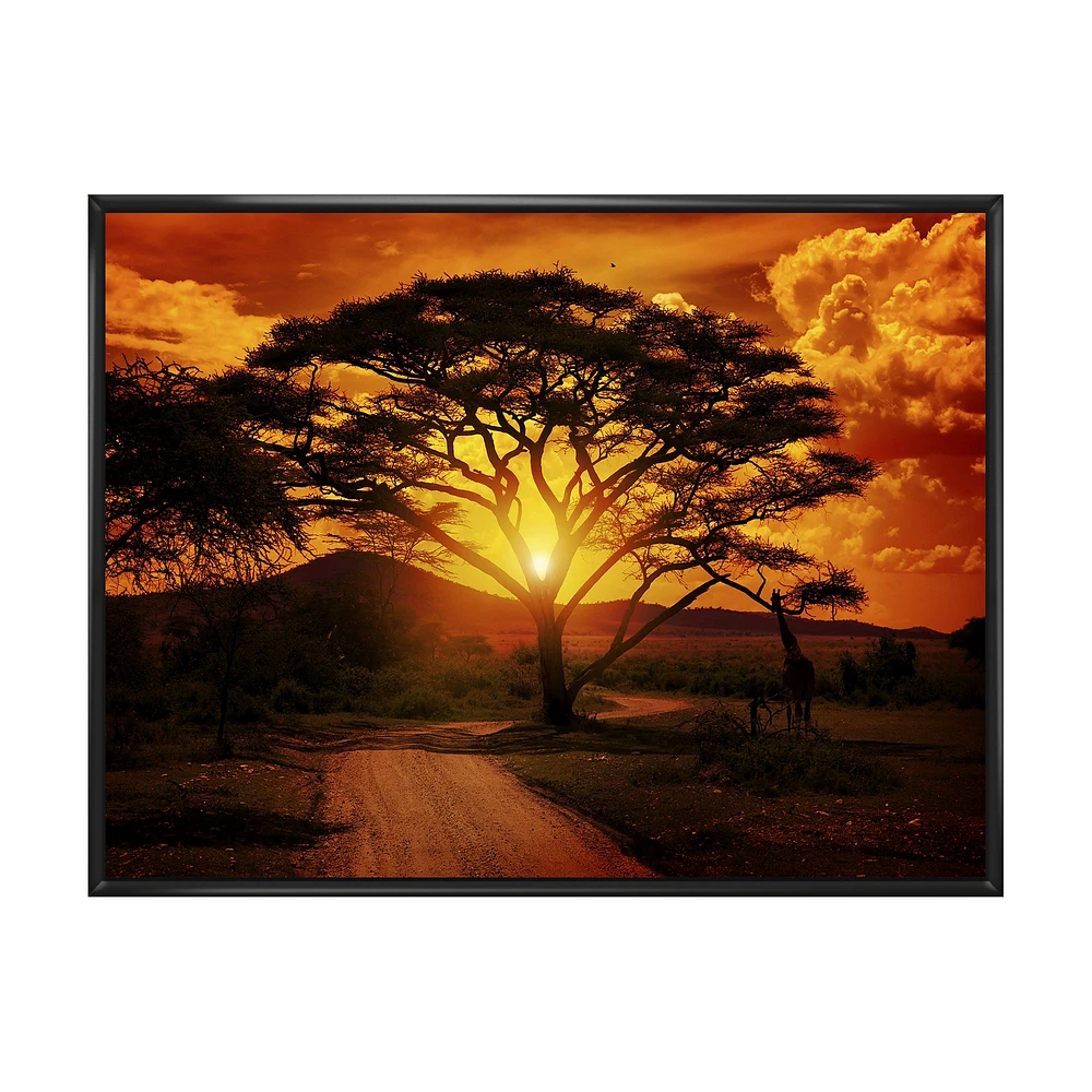 African Sunset with Lonely Tree  Wall Art