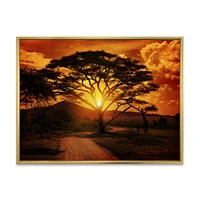 African Sunset with Lonely Tree  Wall Art