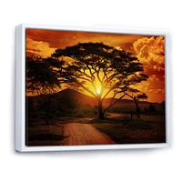 Toile « African Sunset with Lonely Tree