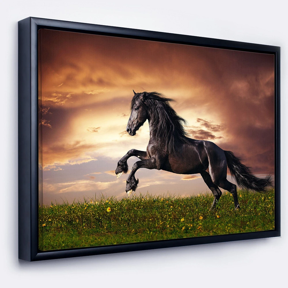 Black Friesian Horse Gallop  Wall Art