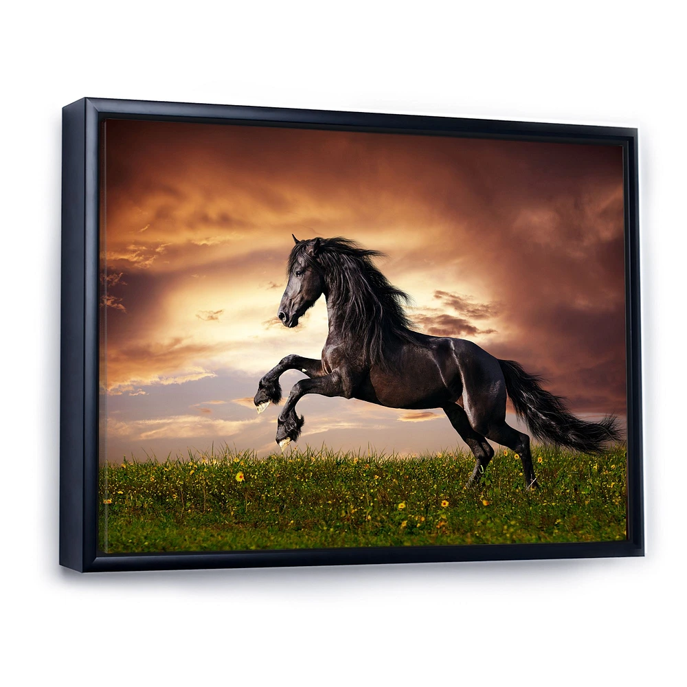 Black Friesian Horse Gallop  Wall Art