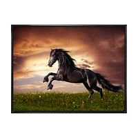 Black Friesian Horse Gallop  Wall Art