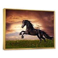 Black Friesian Horse Gallop  Wall Art