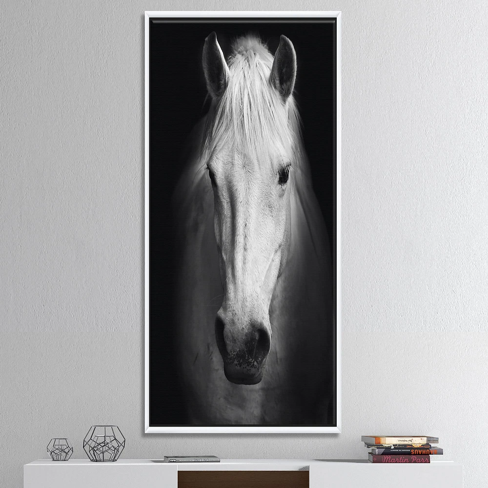 White Horse Black and  Wall Art