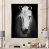 White Horse Black and  Wall Art