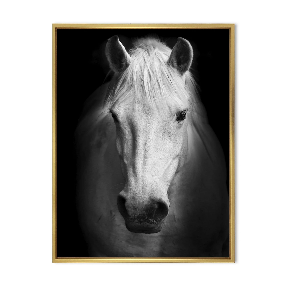 White Horse Black and  Wall Art