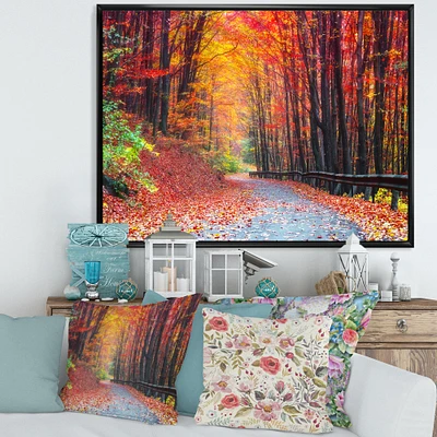 Road Beautiful Autumn Forest  Canvas Art
