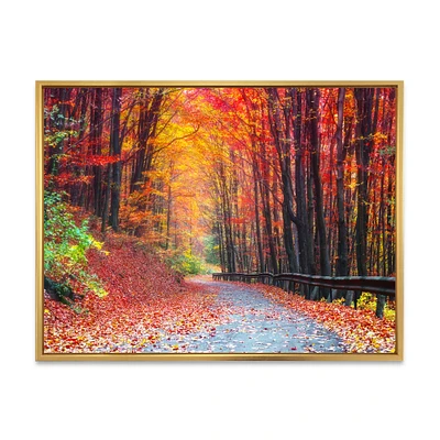 Road Beautiful Autumn Forest  Canvas Art